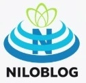 نت اسکیپ netibin